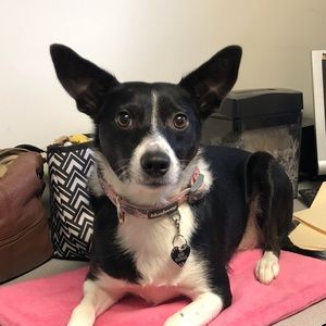 Meet your Posher, Genevieve